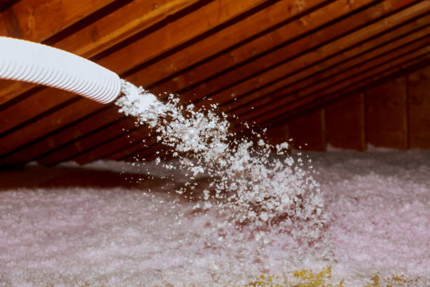 Best Commercial Insulation Contractor  in Schulenburg, TX