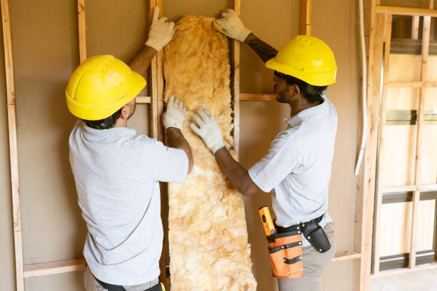 Best Local Insulation Services  in Schulenburg, TX