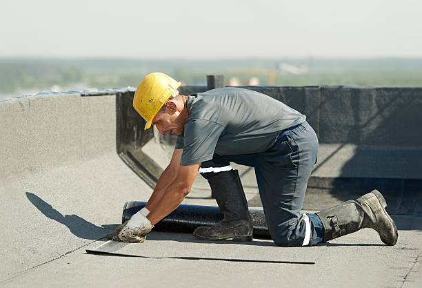 Best Crawl Space Insulation  in Schulenburg, TX