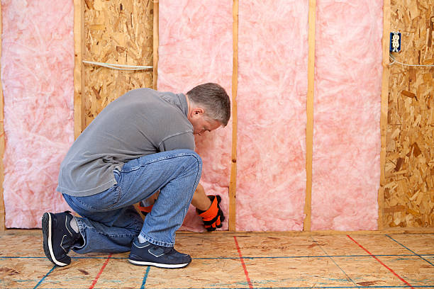 Professional Insulation Contractor in Schulenburg, TX