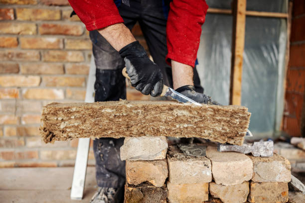 Best Residential Insulation Services  in Schulenburg, TX
